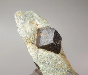 GARNET var. ALAMANDINE big crystal NORWAY Nordland - Buvika - Buviknakken pk461 - Picture 1 of 14