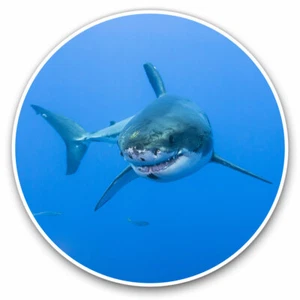 2 x Vinyl Stickers 20cm - Amazing Cool White Shark Sea Creature Cool Gift #8391 - Picture 1 of 9