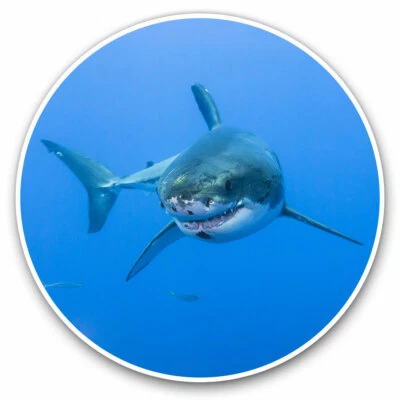 2 x Vinyl Stickers 20cm - Amazing Cool White Shark Sea Creature Cool Gift #8391 - Image 1 of 4