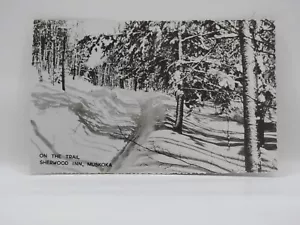 Postal RPPC On The Trail Sherwood Inn Muskoka Ontario Canadá publicada 1960 G312 - Imagen 1 de 2