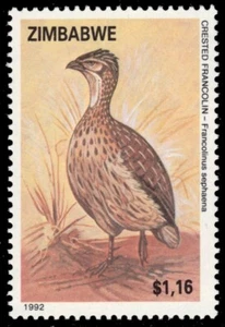 Simbabwe 669 - Crested Francolin "Francolinus sephaena" (pb66979) - Bild 1 von 1