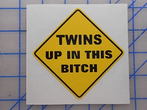 TWINS UP IN THIS BITCH Aufkleber Sticker 4" 6" schwarz/gelb Baby an Bord Autositz - Bild 1 von 1