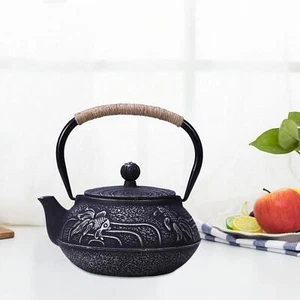 Chinese Cast Iron Teapot Handmade Japanese Tea Pot for Friends Mother - Picture 1 of 7