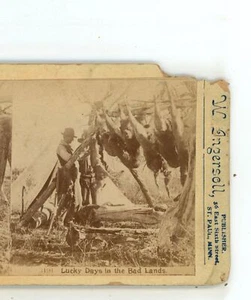 Glückstage in den Badlands Dakota Jagd Ingersoll Stereoansicht - Bild 1 von 4