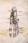 New Postcard, Art Picture VTG Anatomy Skeleton Bones Organs Creepy: Foot