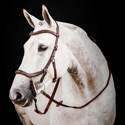 Micklem 2.0 Deluxe Competition Bridle, Havana FO509 - Image 1 of 4