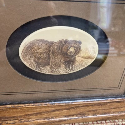 Enmarcado 7 X 9 pulgadas Oso Stephen Barlow Scrimshaw Foto 1 de 3