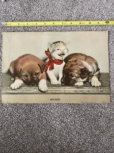 Vintage Daily Mirror Morris & Bendien, Inc. Susie Litho No. 23301 Art Print Cat - Picture 1 of 4
