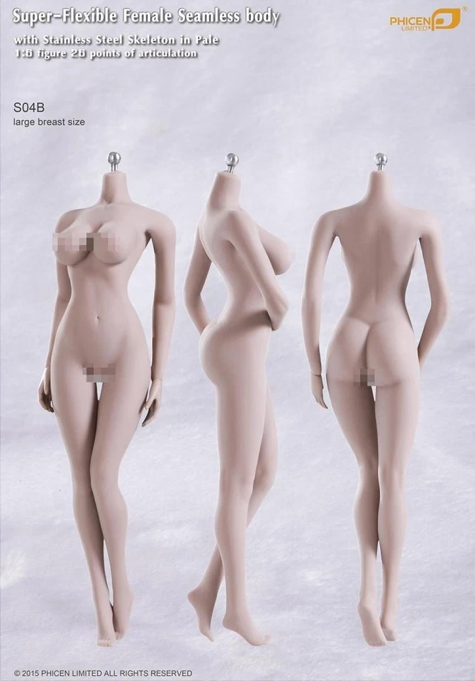 1/6 TBLeague S04B Female Seamless Pale Figure Body L Bust Steel Skeleton USA
