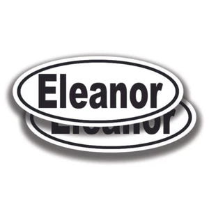 ELEANOR NAME DECALs 2 Stickers Bogo Car Truck Bumper Window - Picture 1 of 1