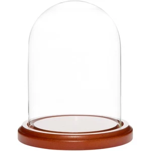 Plymor 4" x 5.25" Glass Display Dome Cloche (Walnut MDF Base) - Picture 1 of 3