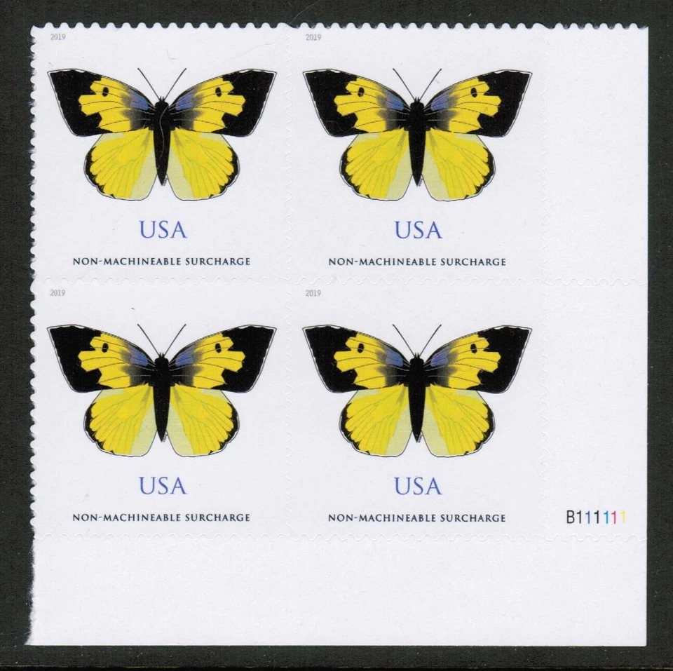 US USA Sc# 5346 MNH FVF PL# BLOCK California Dogface Butterfly Insect - Image 1 of 1