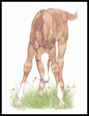 Greeting Card - Horse - Linda K. Powell - Any Occasion 0554 - Image 1 of 2