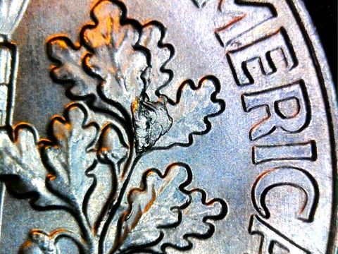 2020p Roosevelt dime with drooling mouth and large die chip reverse Cover