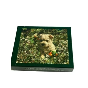 NEW Lang Westie Terrier Dog 13 Linen Embossed Blank Card Set Thank You Any Occas - Picture 1 of 9