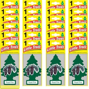 24 Pcs Little Trees Royal Pine Scent Car & Home Hanging Air Fresheners - Picture 1 of 4