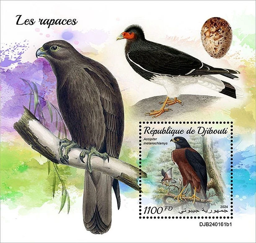 Hoja de sello Birds of Prey Bird MNH 1v #2707 (2024 Djibouti) Foto 1 de 1