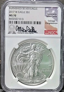 2017 W MS70 Silver Eagle Burnished NGC Castle Flag Label - Picture 1 of 2