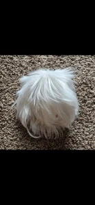 Short Choppy White Wig For Anime Cosplay - Picture 1 of 5
