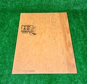 Old Growth Vintage 1/4" Plywood Douglas Fir 19 3/4" x 15 5/8" 1950s Shelf Used - Picture 1 of 11