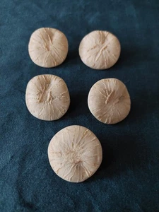 Alte Knöpfe Kunststoff weiß 35mm 5er Serie - Bild 1 von 4