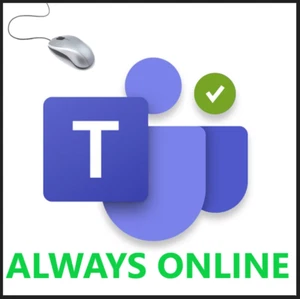 Always Online! Green status! Moves mouse - simple software (no installation!) - Picture 1 of 4