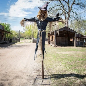 Simplified Staked Scarecrow - Picture 1 of 1