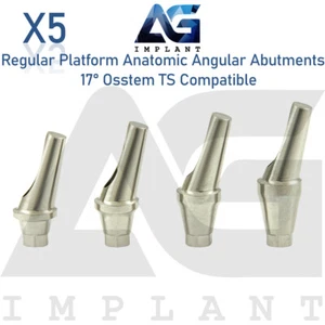 5 Angled Anatomic Abutment 17° 2.5mm Fit Regular Platform Osstem® TS - Picture 1 of 7