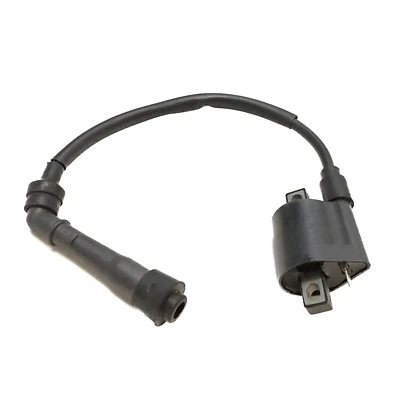 Ignition Coil Fit Yamaha Wolverine 350 Big Bear YFM350 Kodiak 400 Big Bear 400 — 第 1/4 张图片