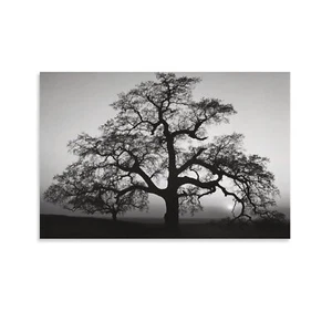 Ansel Adams - Oak Tree, Sunset City Poster Canvas Wall Art Poster Picture Print - Picture 1 of 10