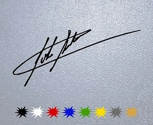 STICKER PEGATINA DECAL VINYL John Surtees Signature - Picture 1 of 2