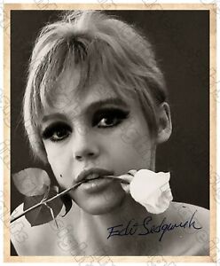 EDIE SEDGWICK Infamous 60s Casualty Andy Warhol Factory Photo 8x10 Autograph RP