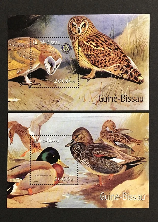Guinea Bissau 2001 MNH ** birds duck owl sheet - image 1 of 1