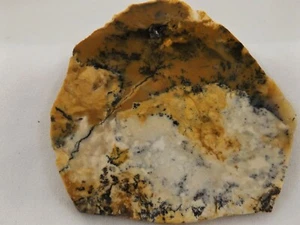 DIG-N-UTAH: PLATTENTRAPPER CREEK JASPIS ACHAT DENDRITISCHE GROBE KABINE WYOMING # J 411 - Bild 1 von 3