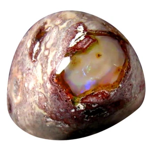 Cabujón de lujo de 8,76 quilates (15 x 14 mm) piedra preciosa de ópalo de fuego matriz de México sin calefacción - Imagen 1 de 1