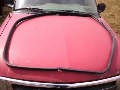 Dodge Durango D 1998-2002 sello de puerta delantera lateral/tira climática usada pieza OEM Foto 1 de 2