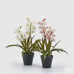 EDG Enzo De Gasperi EDG Enzo De Gasperi Orchidea Cymbidium con Vaso H 54 Cm Bian - Imagen 1 de 1