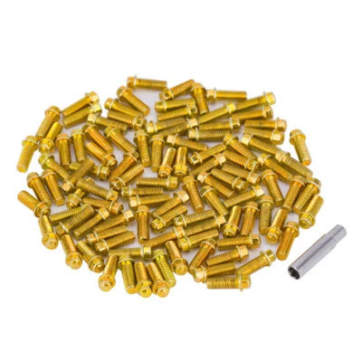 100pcs M2 M3 Steel Scale Beadlock 1.9 2.2 Wheel Rims Screws for 1/10 RC Crawler - Image 1 of 4