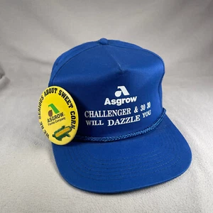Asgrow Challenger Mütze Herren OS blau Vintage Snapback Cap Landwirtschaft Mais Pin - Bild 1 von 11