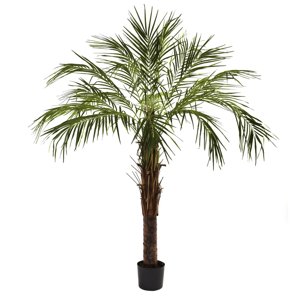 Nearly Natural 6’ Robellini Palm Tree Artificial Realistic Home Garden Decor - Image 1 of 1