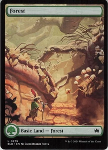 Forest (0279) L Bloomburrow 279 NM - Picture 1 of 2