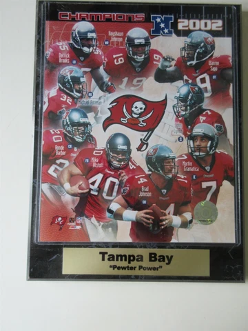 2002 Tampa Bay Buccaneers Pewter Power Plaque Cover