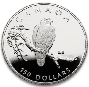 1996 Canada $150 Half Ounce Peregrine Falcon - Pure Platinum Coin - Picture 1 of 5