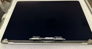 Apple MacBook Pro A1990 2018 15.4" Retina LCD Screen Replacement EMC 3215 Silver - Afbeelding 1 van 10