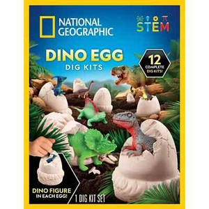 Kit scavo uova dinosauro National Geographic - Foto 1 di 6