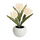 Gift Ornament LED Night Light Simulation Tulip Wedding With Ceramic Vase Desktop