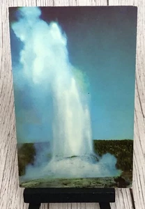 Castle Geysir Yellowstone Nationalpark Wyoming WY Postkarte - Bild 1 von 4