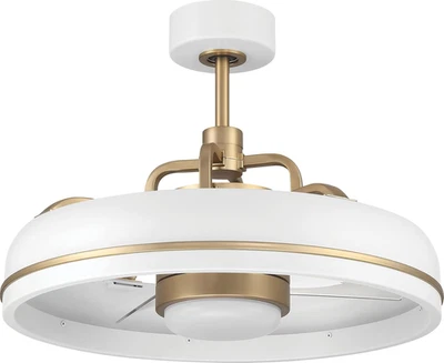 Taylor 20" Dual Mount Indoor White/Satin Brass Finish Ceiling Fan, LED Light Kit - Image 1 of 3