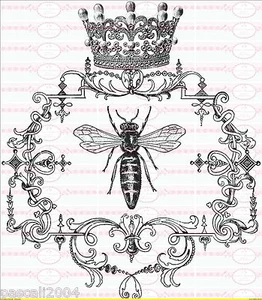 Bügelbilder Shabby Nostalgie "Queen Bee" Rahmen French auf A4   NO. 807 Vintage - Bild 1 von 1