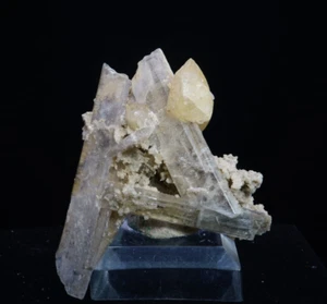 Calcite & Gypsum on Coral / Rucks Pit, Florida / Rare Mineral Specimen - Picture 1 of 5